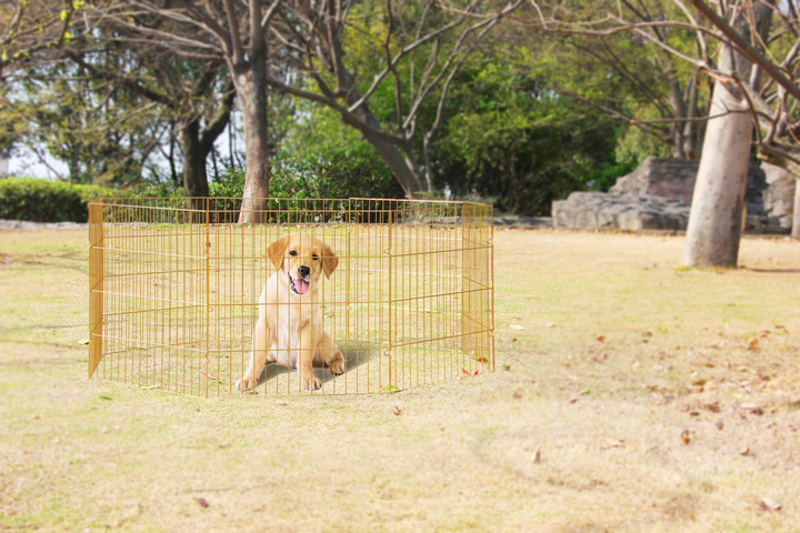 
  Pawise Dog Play Pen L - artikelnummer PAWI12558
