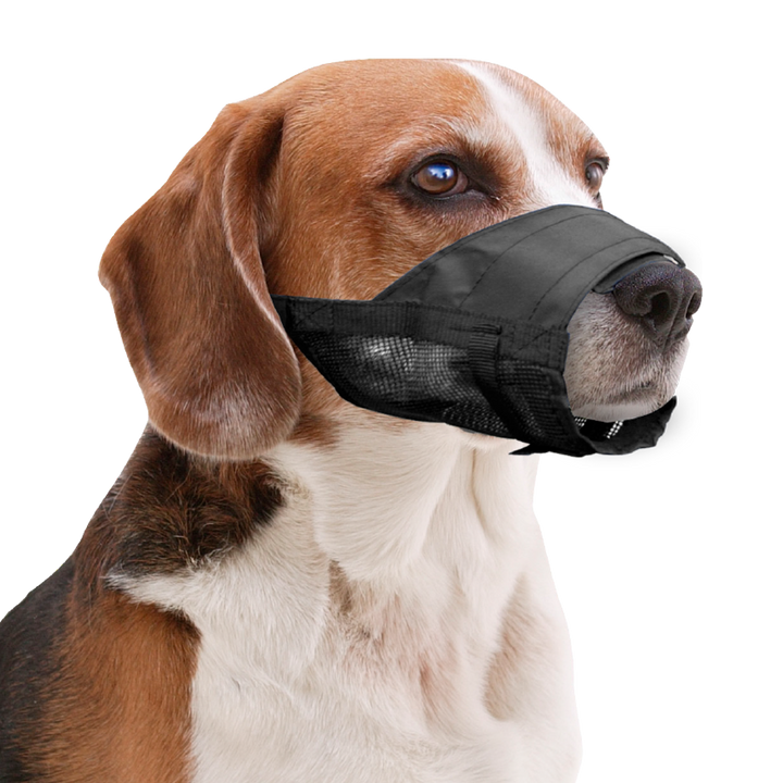 
  Pawise Adjustable Nylon Muzzle S - artikelnummer PAWI13012
