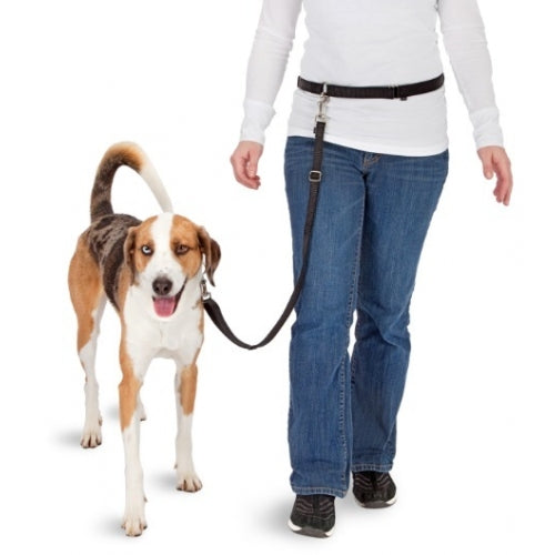 
  Pawise Hands Free Doggy Jogger Kit - artikelnummer PAWI13065
