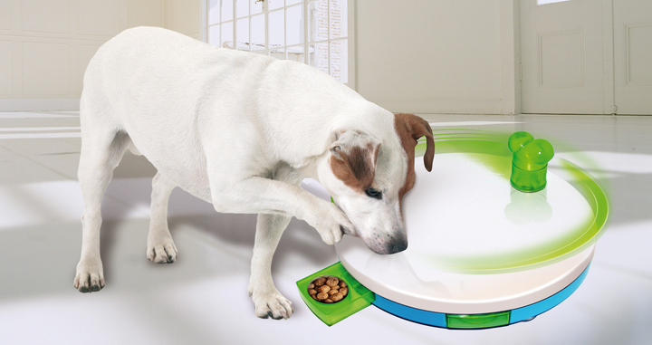 
  Pawise Dog training toy - Level 2 Spinning Feeder - artikelnummer PAWI14805
