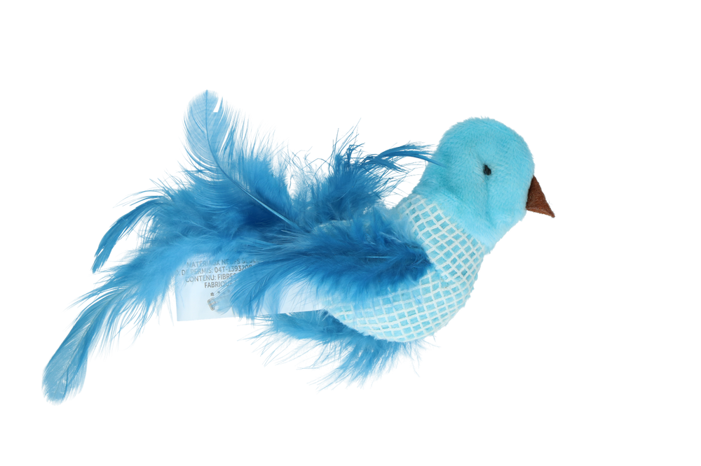 Pawise 100% Catnip Toy Vogel