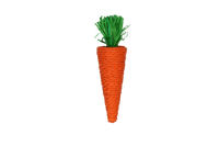 Pawise Play & Chew Carrot