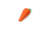 Pawise Play & Chew Carrot