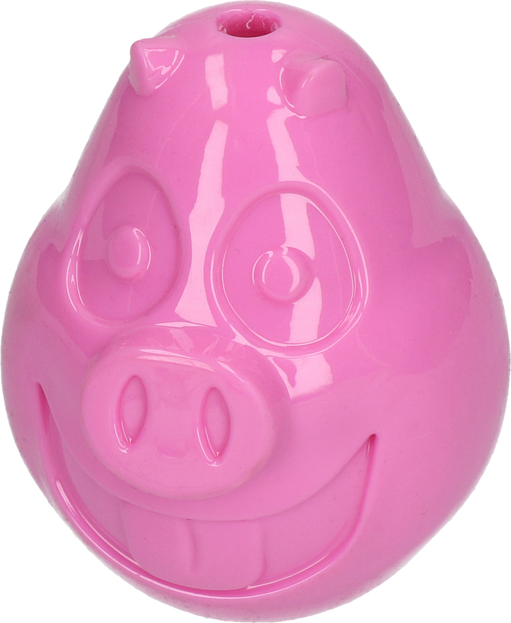 Petsport Mojo Friends Varken L
