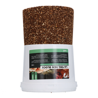 Excellent Legkippen Blok 4 kg