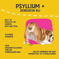 Excellent Pets Dog Psyllium+ 100 g
