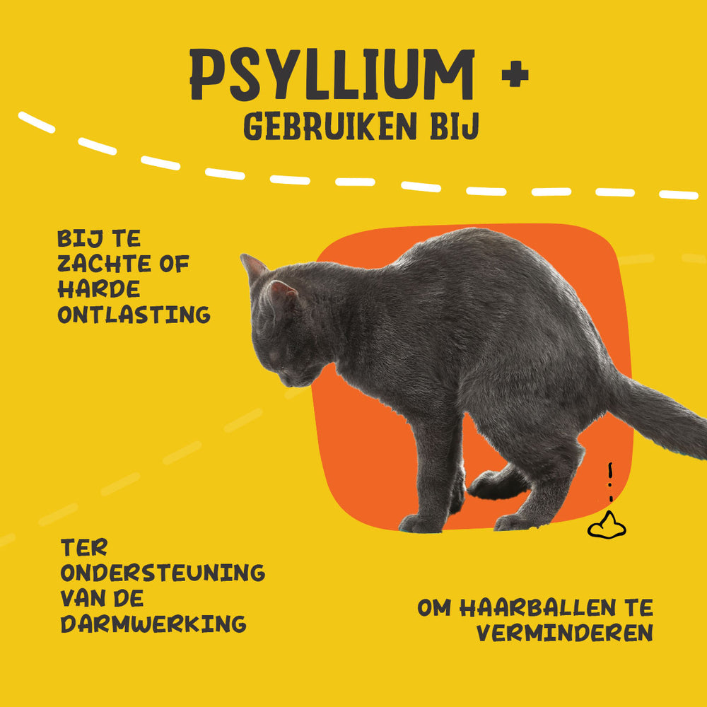 Excellent Pets Cat Psyllium+ 100 g