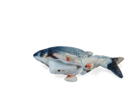 Robocat Karper