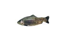 Robocat Forel