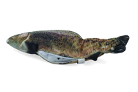 Robocat Forel