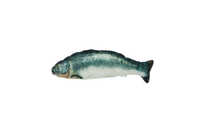 Robocat Zalm