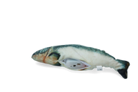 Robocat Zalm