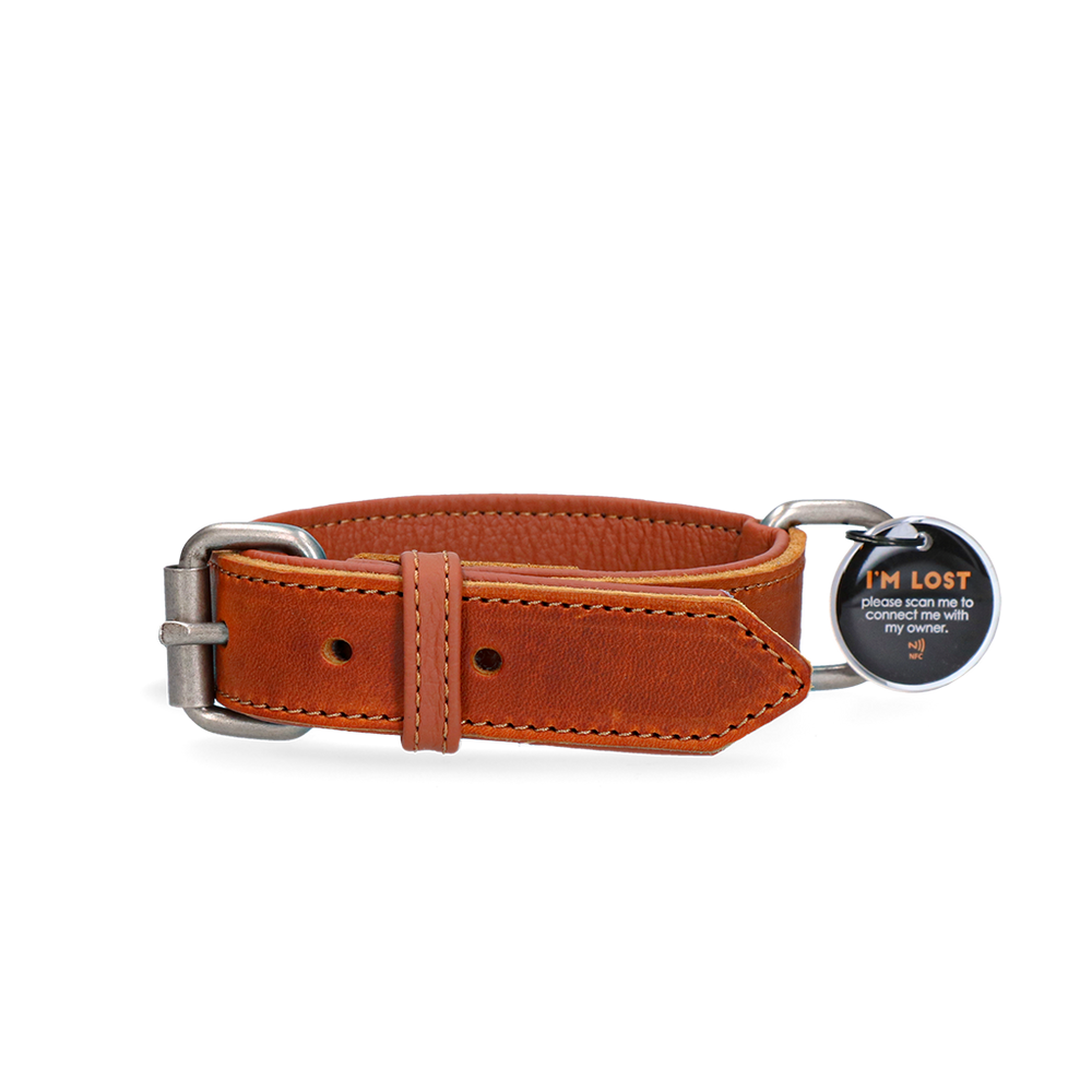 Spotted! Pro Leren Halsband 3 x 60 cm Cognac