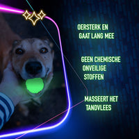 2 Glow Treat Bone of it's Own