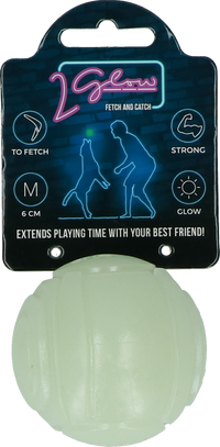 2 Glow Fetch & Play