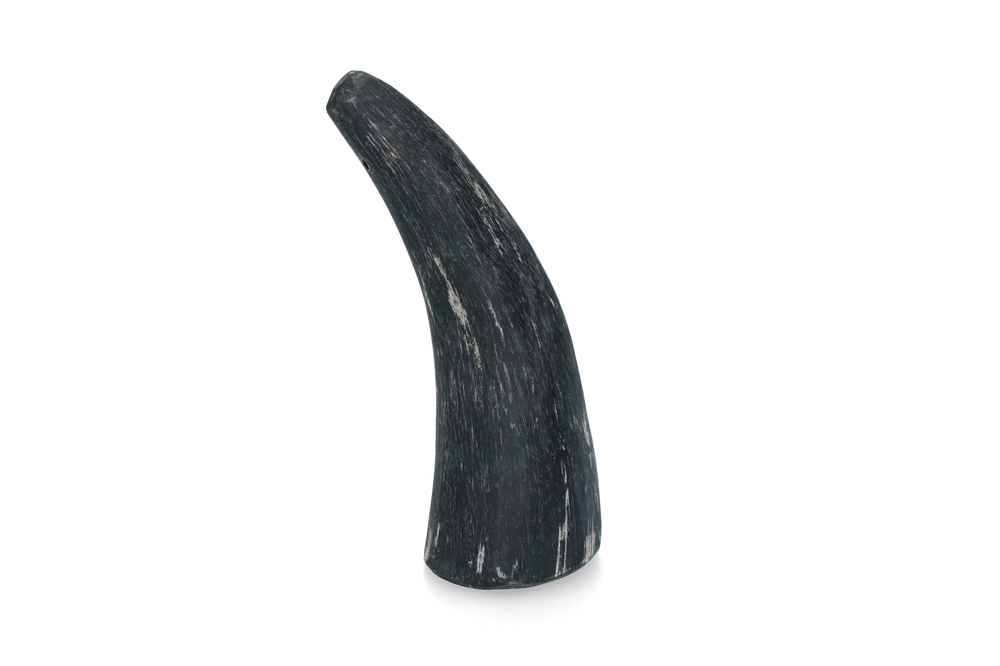 Viking Horn Whole S