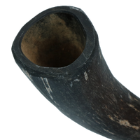 Viking Horn Whole S