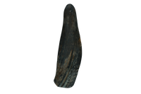 Viking Horn Twist S
