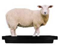 Voetbad schaap 120 x 40 x 18 cm