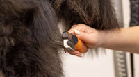 Wahl Dematter Ontklitterkam voor Honden
