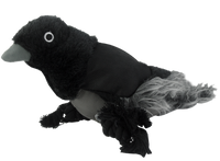 Wild Life Dog Raaf