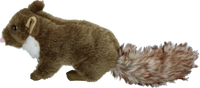 Wild Life Dog Marter