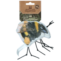 Wild Life Cat Hommel