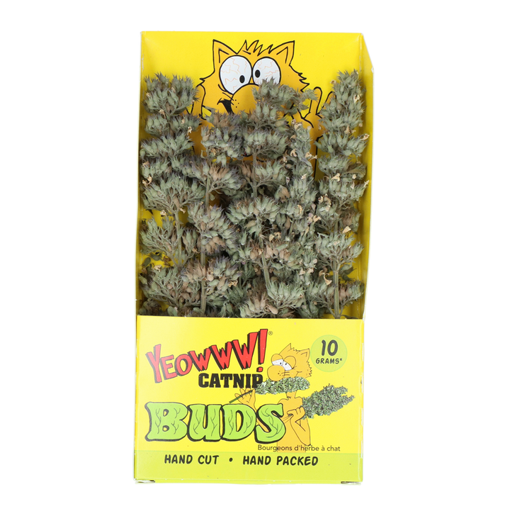 
  Yeowww! Catnip Buds - artikelnummer YEOW047
