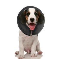 Zenpet ProCollar XS