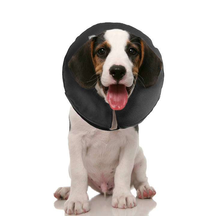 
  Zenpet ProCollar XS - artikelnummer ZENP5902
