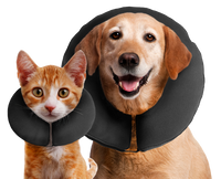 Zenpet ProCollar L