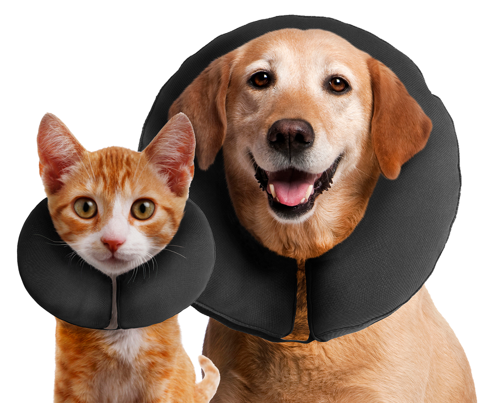 Zenpet ProCollar S