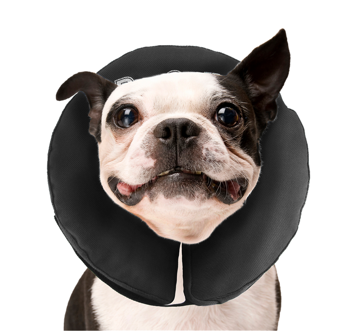 
  Zenpet ProCollar M - artikelnummer ZENP5908
