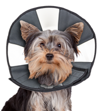 Zenpet Procone S