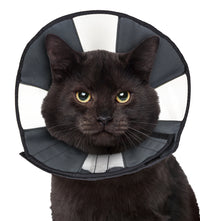 Zenpet Procone S