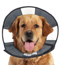 Zenpet Procone XL