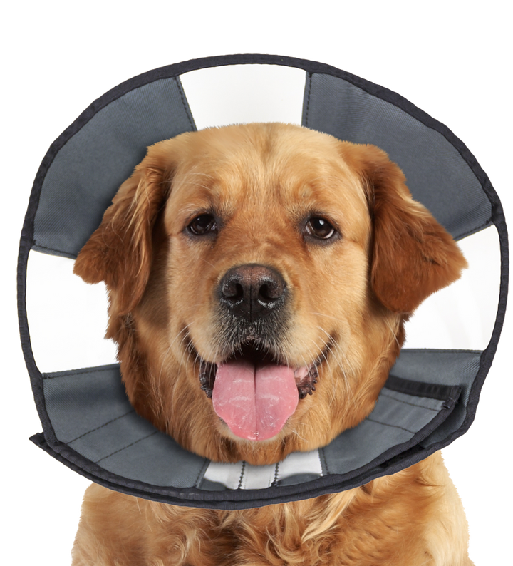 
  Zenpet Procone XL - artikelnummer ZENP5924

