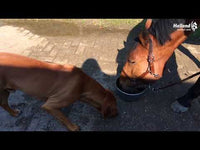 Excellent Horse Total Balance 1 l