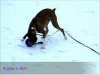 Jolly Romp-n-Roll Vanille L (20 cm)