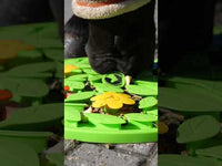 Excellent Horse Snuffle Mat Flower Power