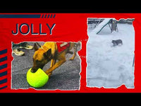 Jolly Soccer Ball Lichtpaars S (15 cm)