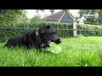 Fuzzle met 5 piepers Koe