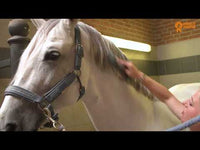 Paardenpraat TV Glans Spray 250 ml