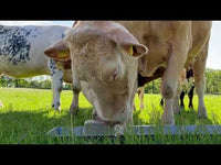 Excellent Salt Lick Parex 10 kg
