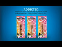 Addicted! Mice with Feathers