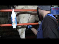 Ice Mint Gel Sta en hangtube 500 ml
