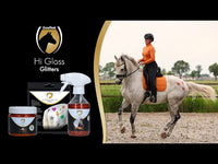 Excellent Horse Hi Gloss Stencils 5 stuks
