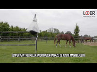 Loer Dazenval Bal