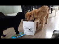 Braaaf Seafood Zalmblokjes
