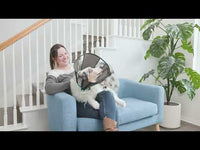 Zenpet Procone XL